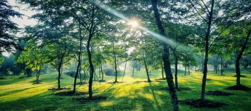 Ecopark Ninh Bình có phù hợp để mua làm tài sản phòng thân khi về già?