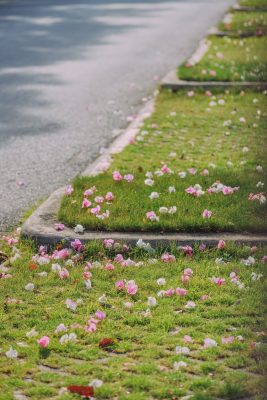 Ecopark Ninh Bình có phù hợp với người thích trồng cây, làm vườn không