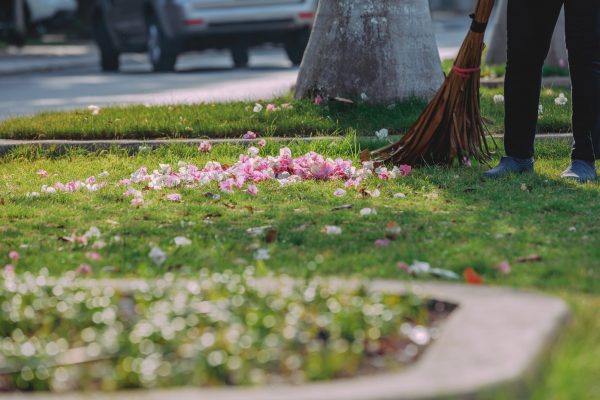 Ecopark Ninh Bình có phù hợp với người thích sống tối giản không?