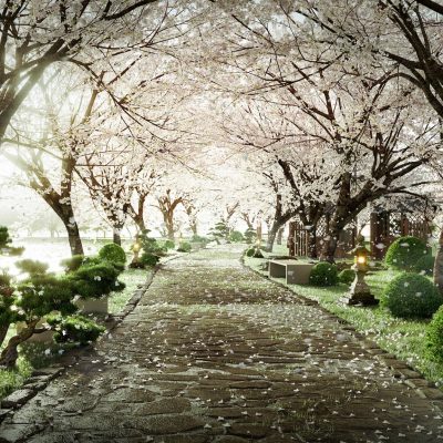 Các loại hình nhà ở nào tại Ecopark Ninh Bình dễ bán lại nhất không